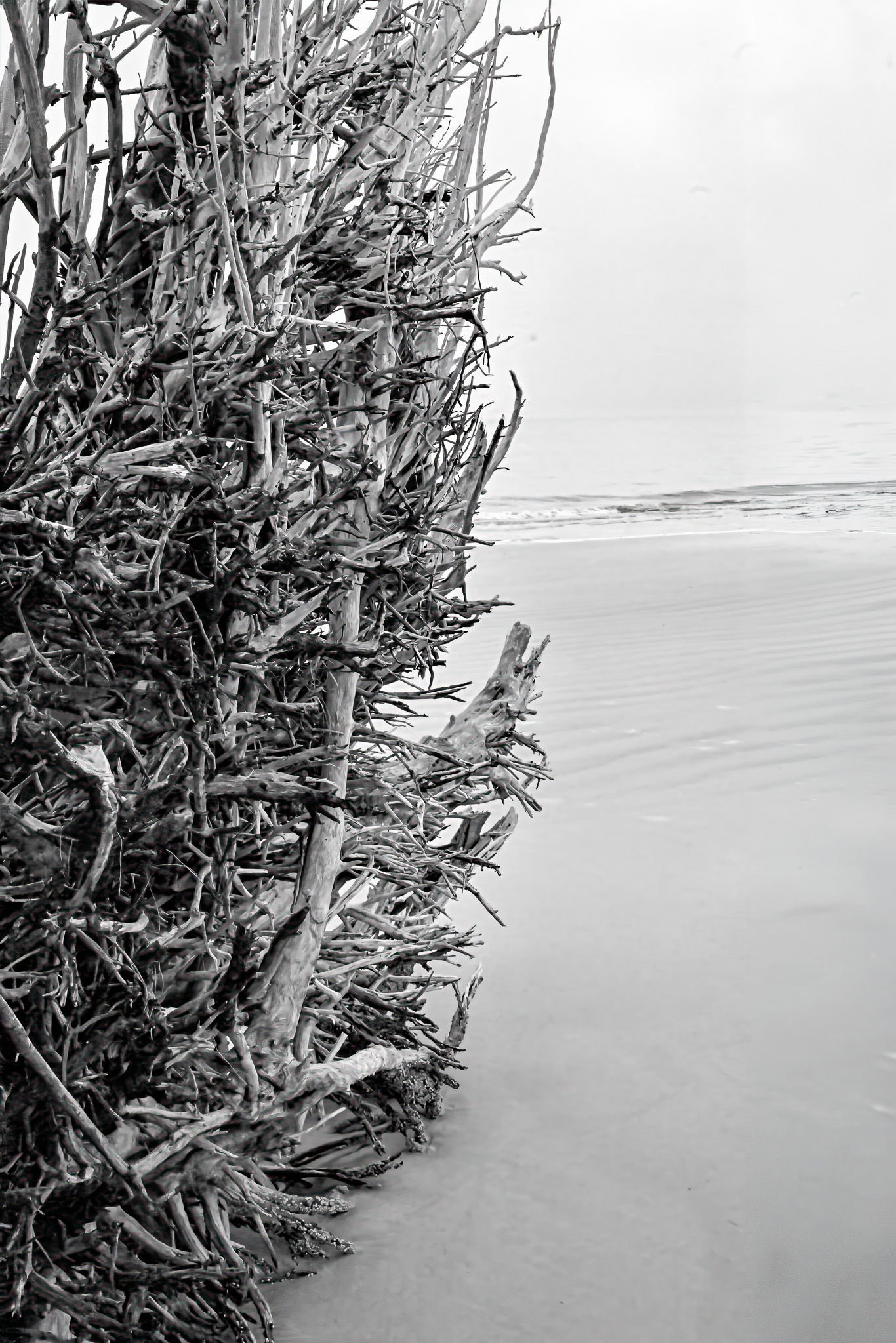 Edge of the Living