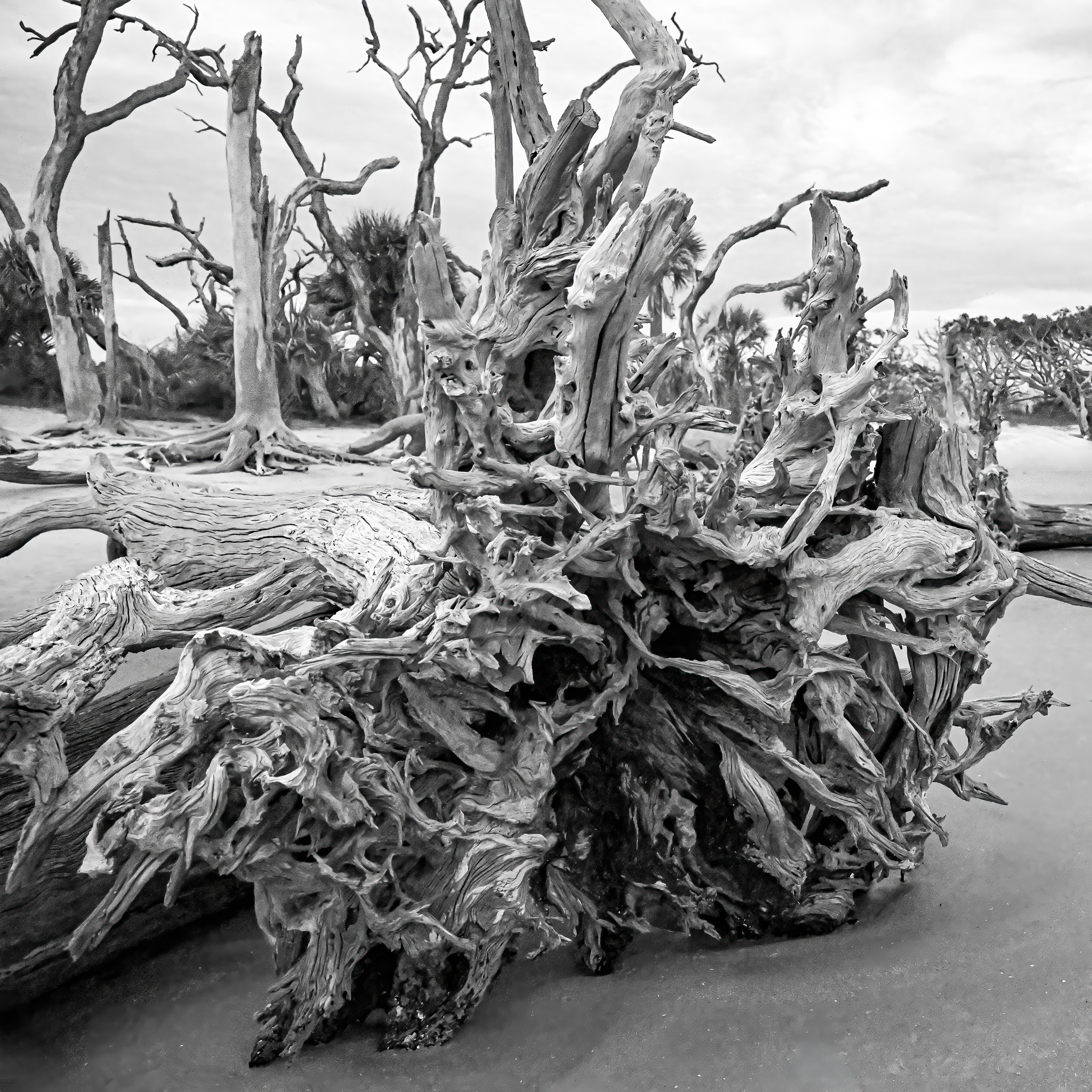 Reaching Through the Veil