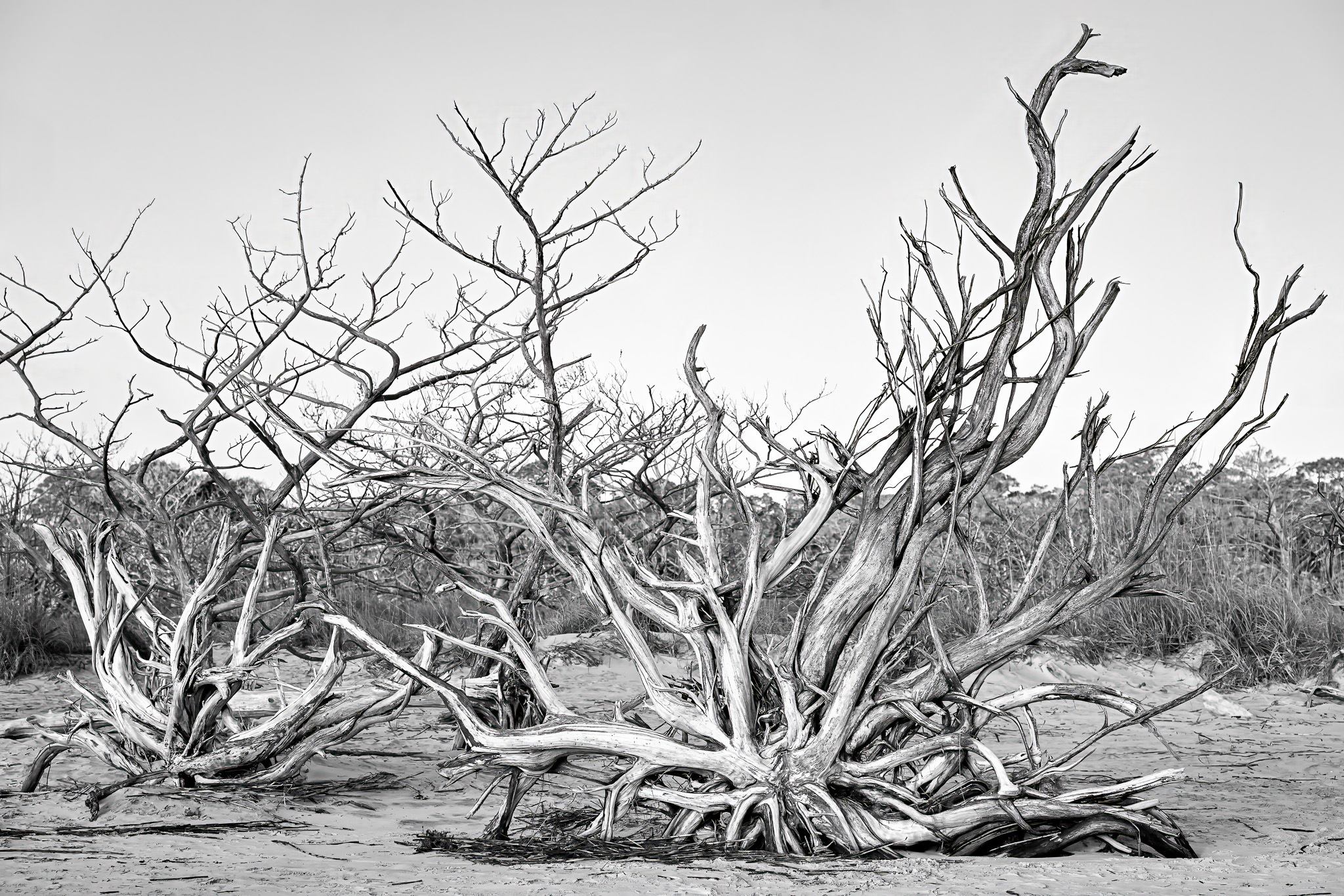 Reaching for What Remains