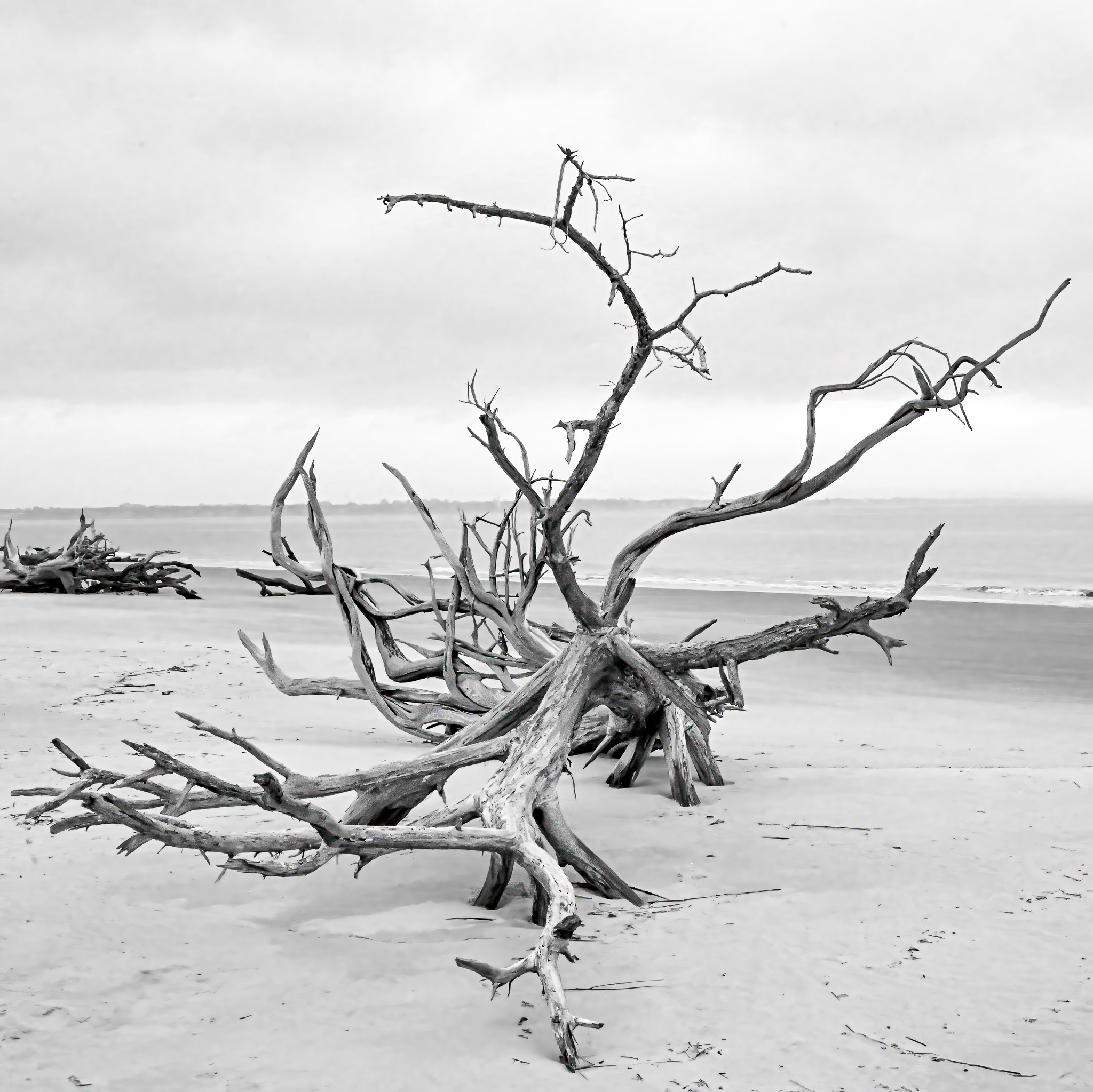 Twisted Past