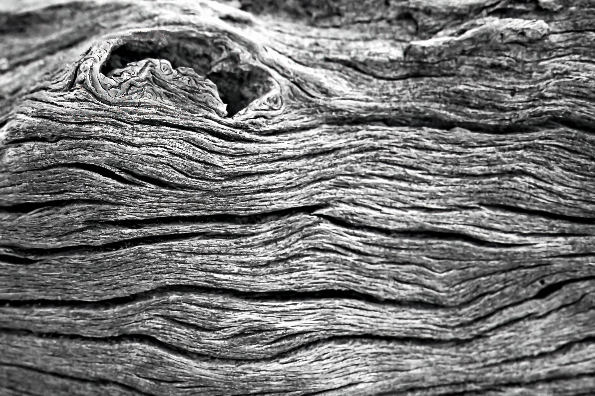 Grains of Time